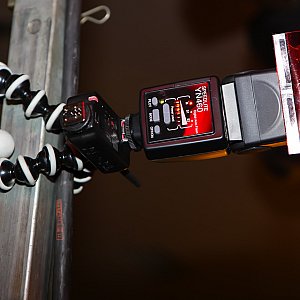 Gummibeat Shooting 2012/03/17