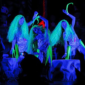 Carnival 2012 - Barchfeld