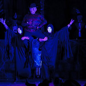 Carnival 2012 - Barchfeld