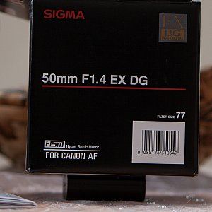 Canon 24-70 2.8l