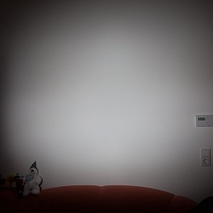 The Honl Photo Professional Lighting System