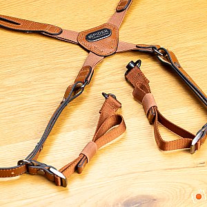 SpiderPro Dual Shoulder Harness v3