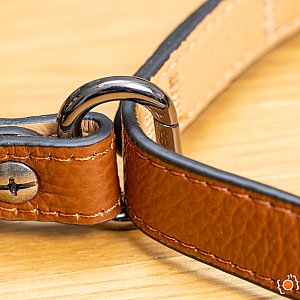 SpiderPro Dual Shoulder Harness v3 - details slide