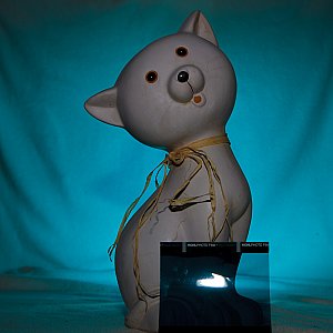 The Honl Photo Professional Lighting System - Blue Green