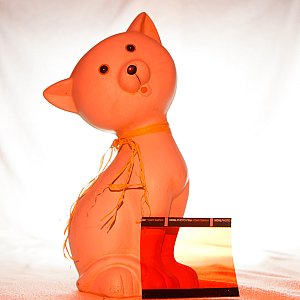The Honl Photo Professional Lighting System - Dark Salmon