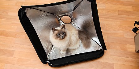 Jinbei Easy Softbox EB-060