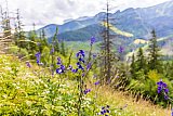 Zakopane 2021