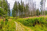 Zakopane 2021