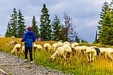 Zakopane 2021