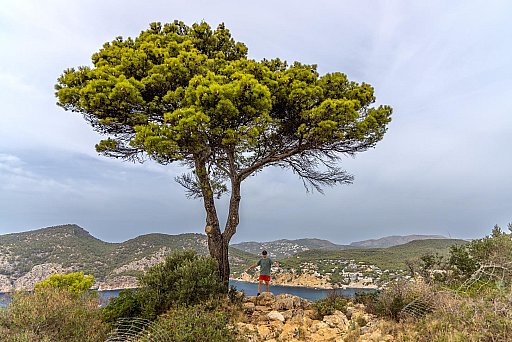 Mallorca: image 13 of 15