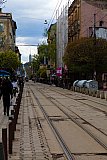 Sofia