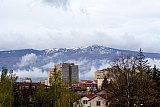 Sofia