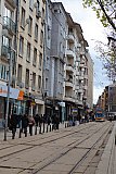 Sofia