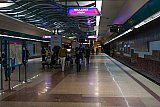 Sofia