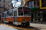 Sofia