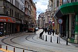 Sofia