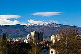 Sofia