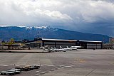 Sofia