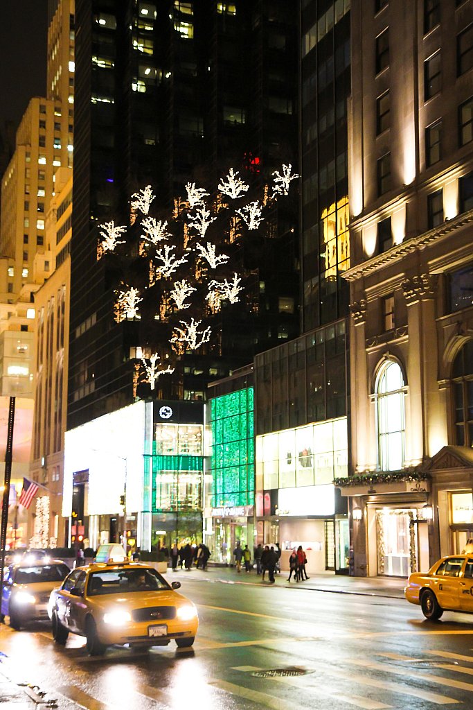 New York II: image 183 of 228
