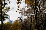 New York II