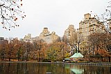New York II