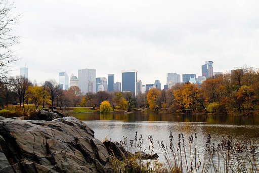 New York II: image 27 of 228