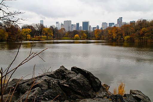 New York II: image 30 of 228