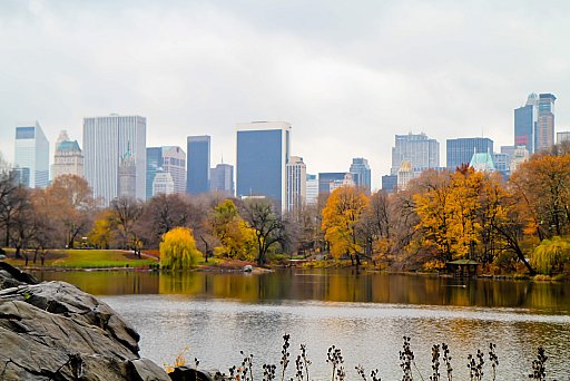 New York II: image 137 of 228