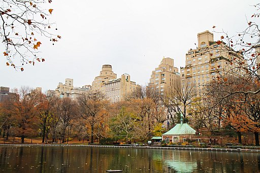 New York II: image 174 of 228