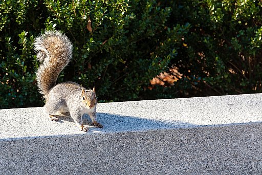 Washington D.C.: image 22 of 68