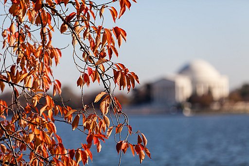 Washington D.C.: image 36 of 68