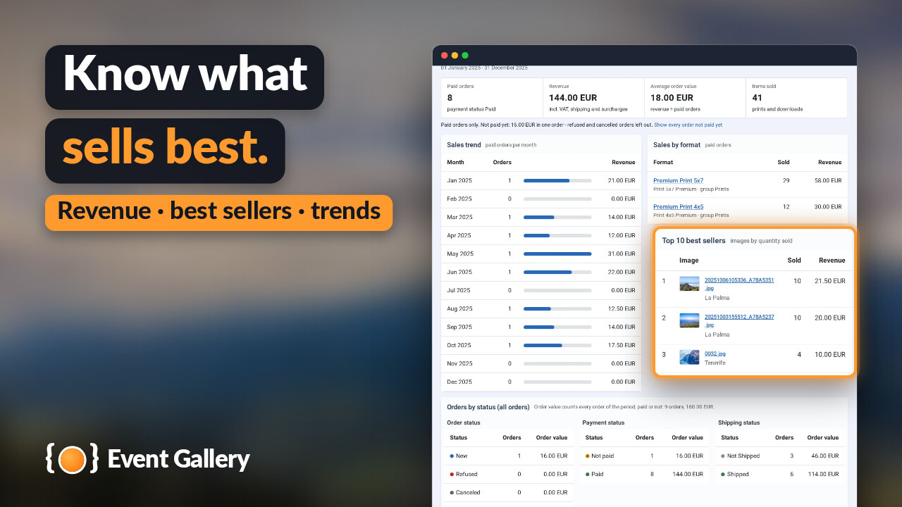 The sales statistics of a year: revenue, paid orders, sales per month and the best sellers with their thumbnails enlarged.